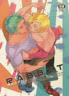  (C90) [Kyozoya (Kunoichi)] RABBIT (One Piece)